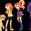 MLP photos