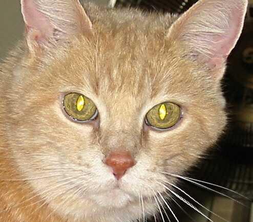 2014-03-04 23.44.59.jpg