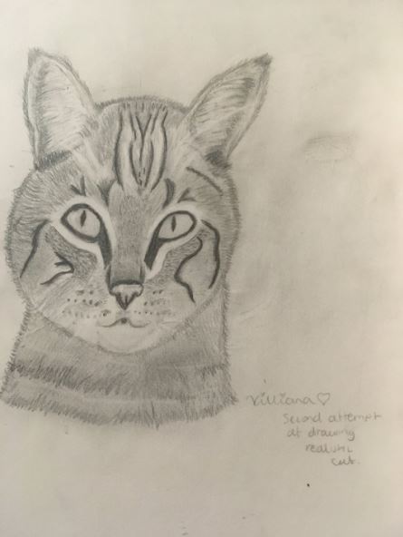 Realistic Cat Sketch.JPG Realistic Cat Sketch.JPG
