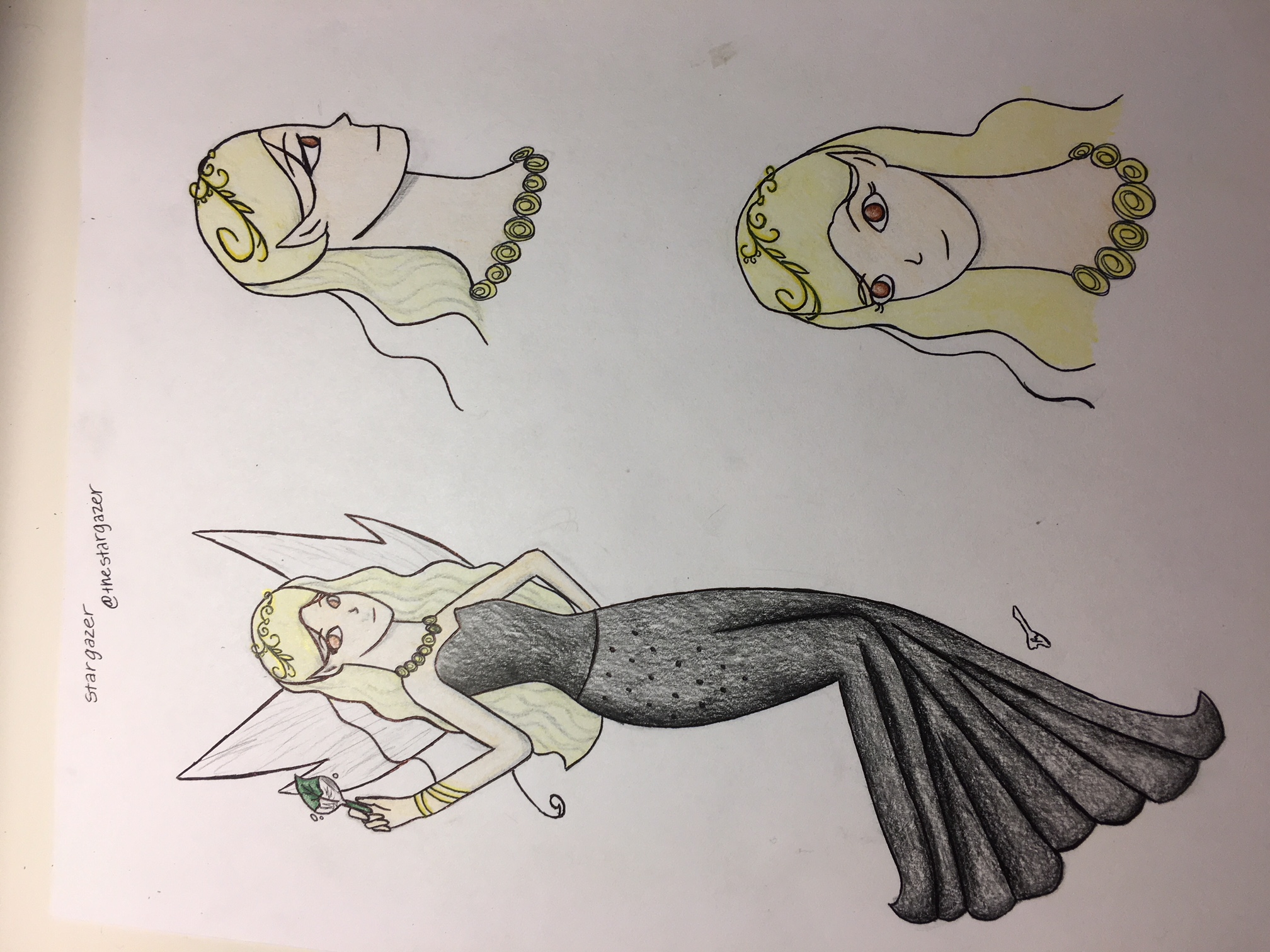 Stargazer.jpeg Stargazer.jpeg