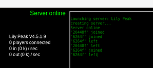 Server window showing IDs of those who come and go Server window showing IDs of those who come and go