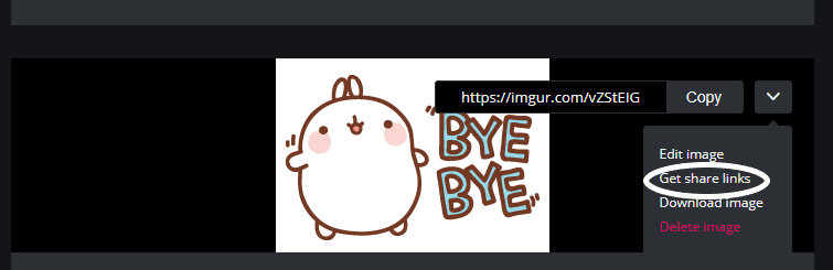 Get share links Get share links