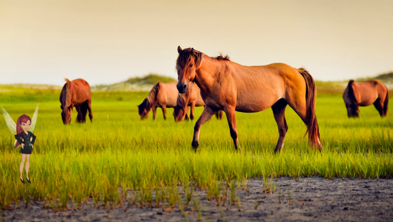 Screenshot 2018-08-21 at 2.01.56 PM.png