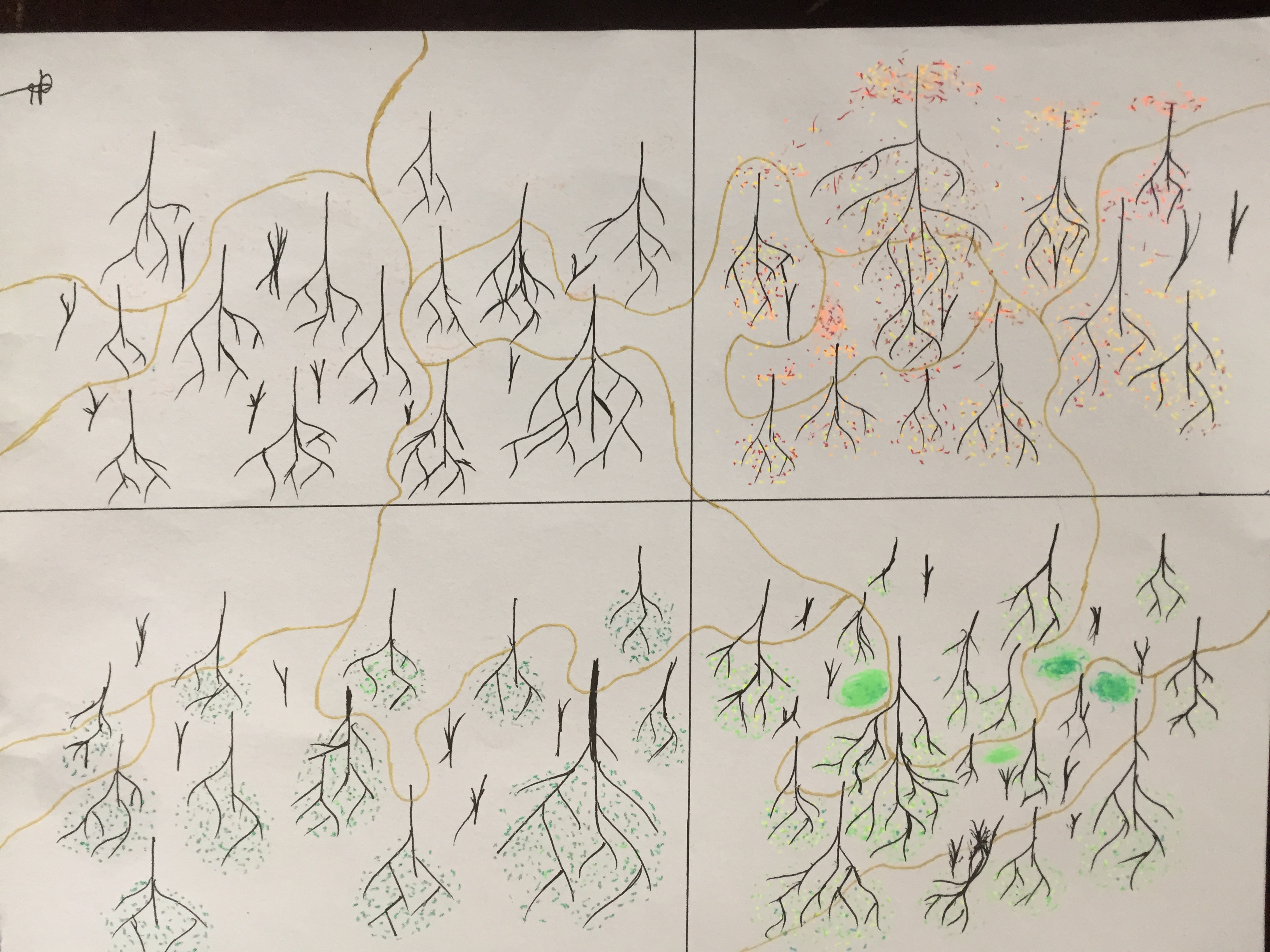 The changing of the seasons