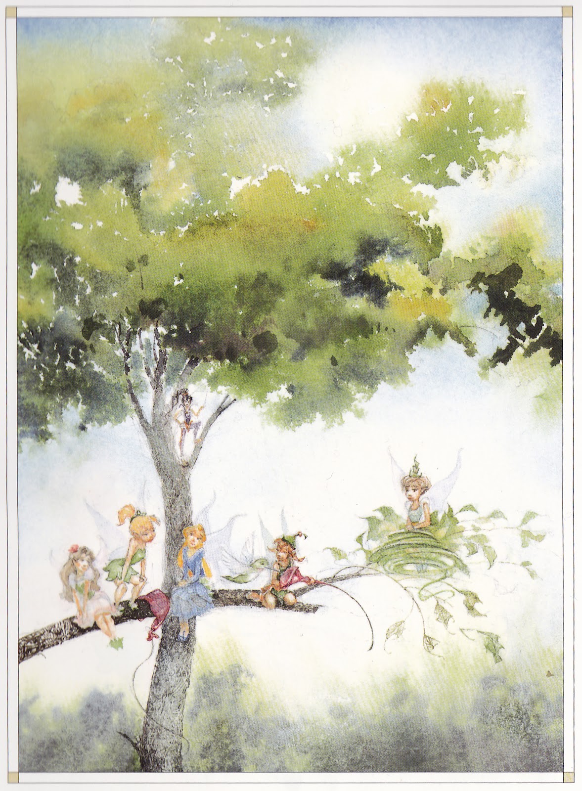 DC- Fairies on a tree, I love this perspective as the detail is less overwhelming. I believe the one ... DC- Fairies on a tree, I love this perspective as the detail is less overwhelming. I believe the one ...