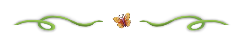 butterfly_page_break.jpg